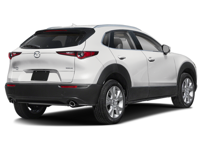 2025 Mazda Mazda CX-30 2.5 S Premium Package