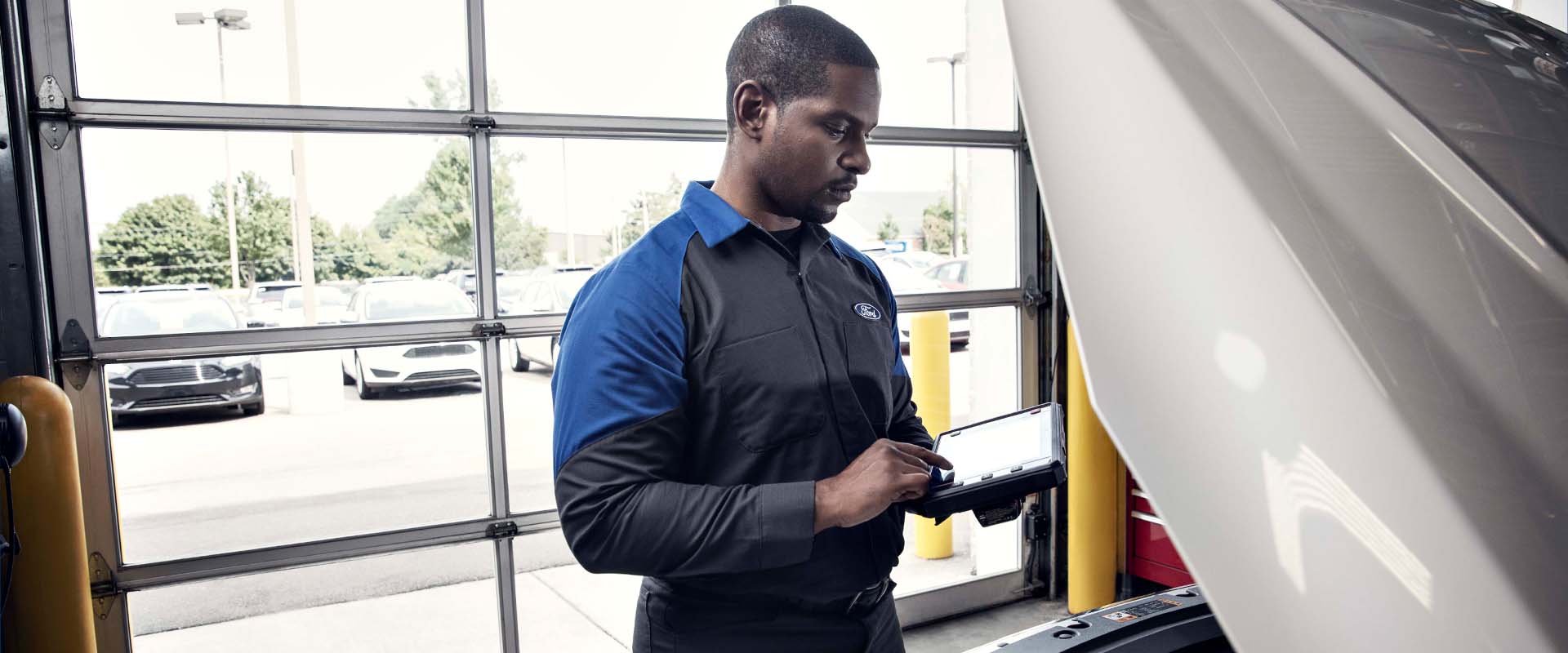 Ford winter service advice