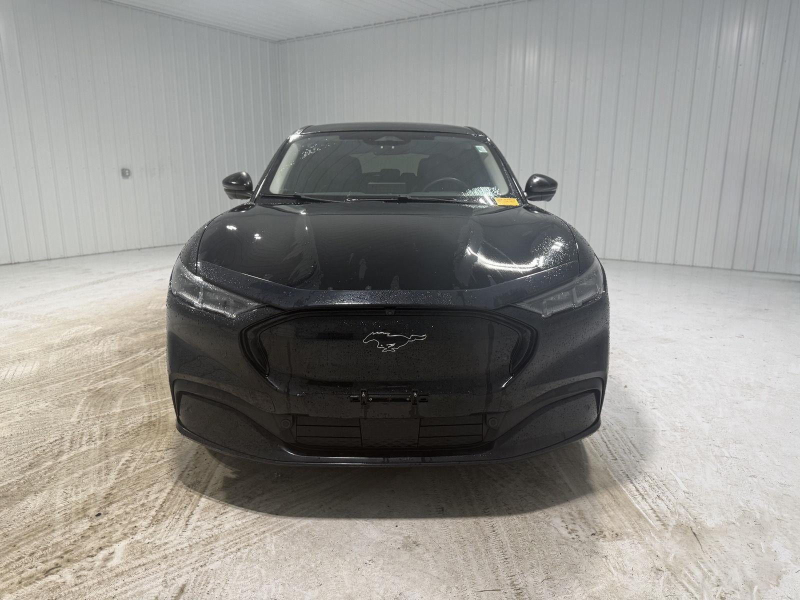 2021 Ford Mustang Mach-E Premium