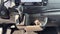 2026 Ford Transit Cargo Van T-250 130" Low Rf 9150 GVWR RWD