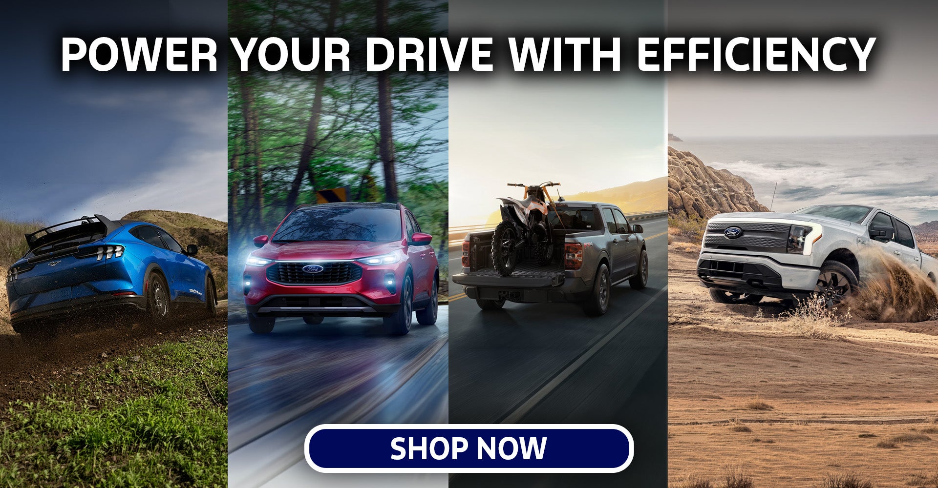 Fuel-Efficient Fords Denton MD