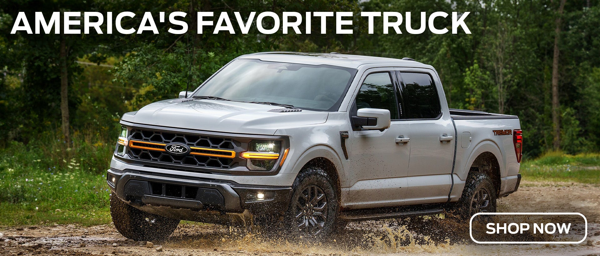 Ford F-150 Denton MD